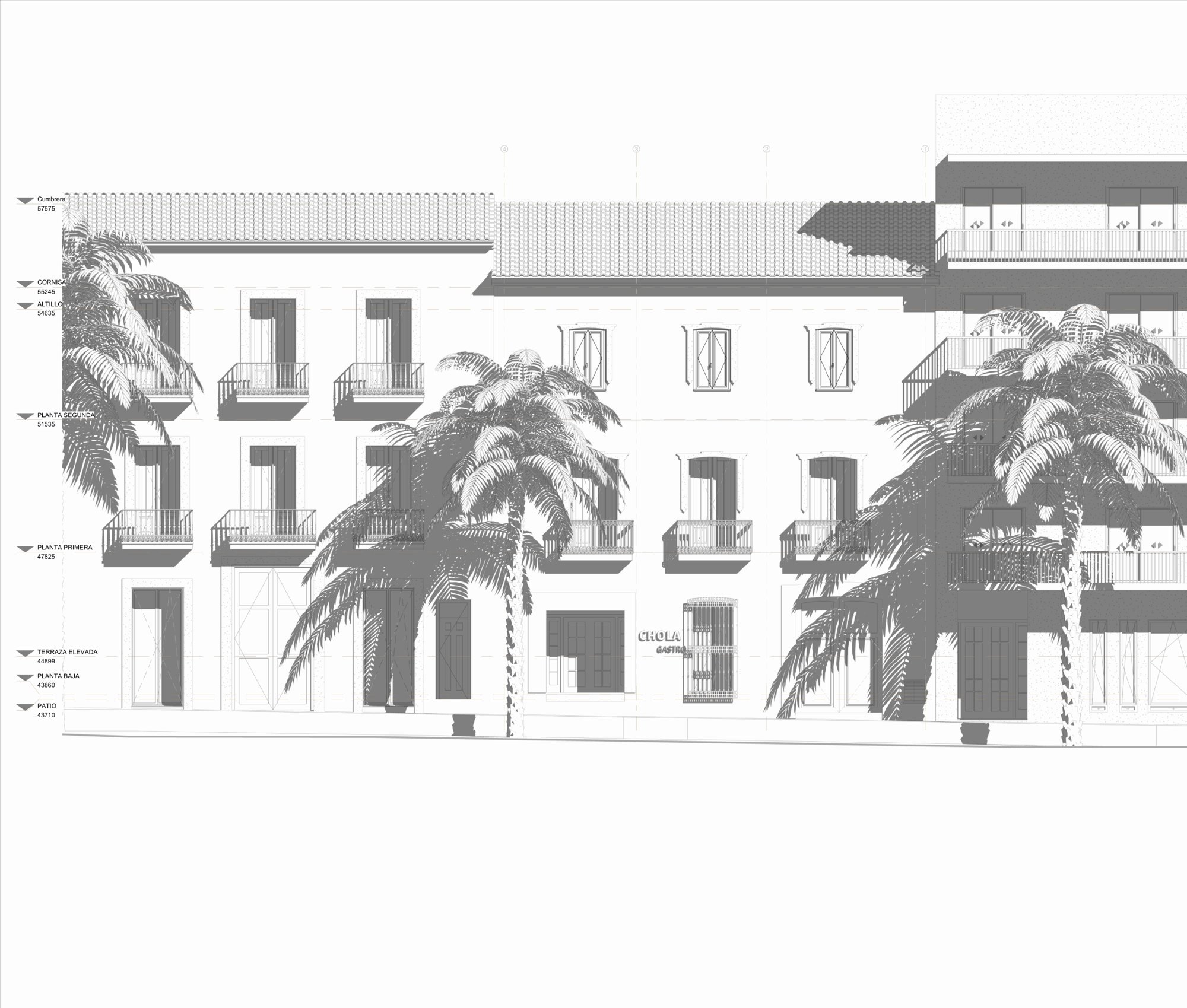 Street elevation drawing with the palm trees of the avenue.