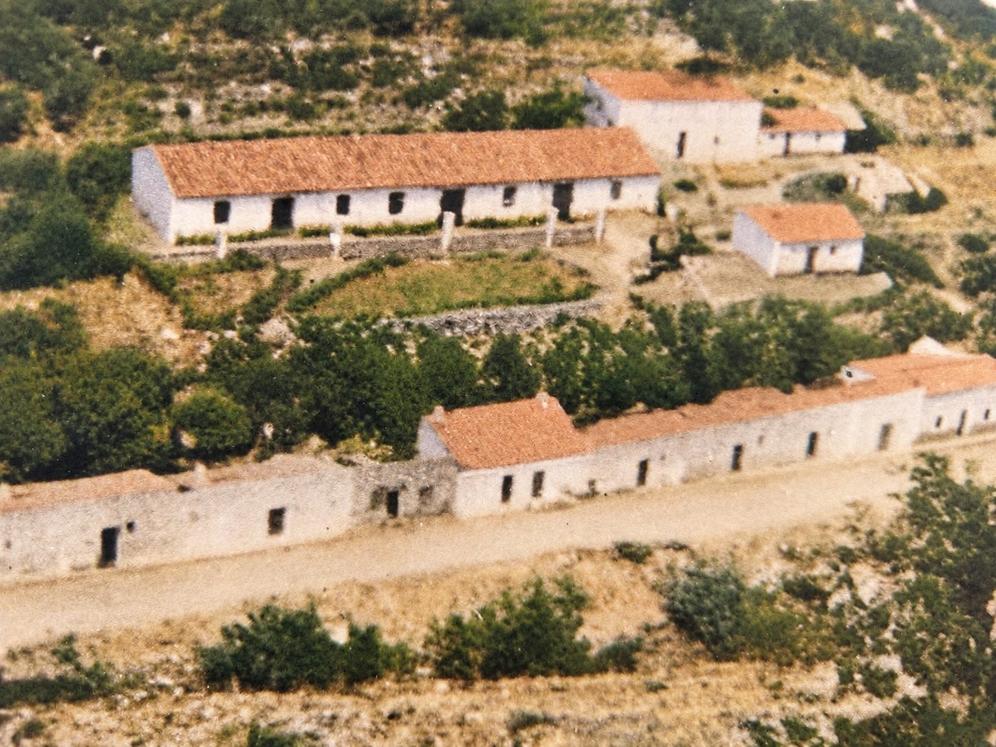 Old photograph: white houses with tiled roofs on the hillside, beside a dirt track.